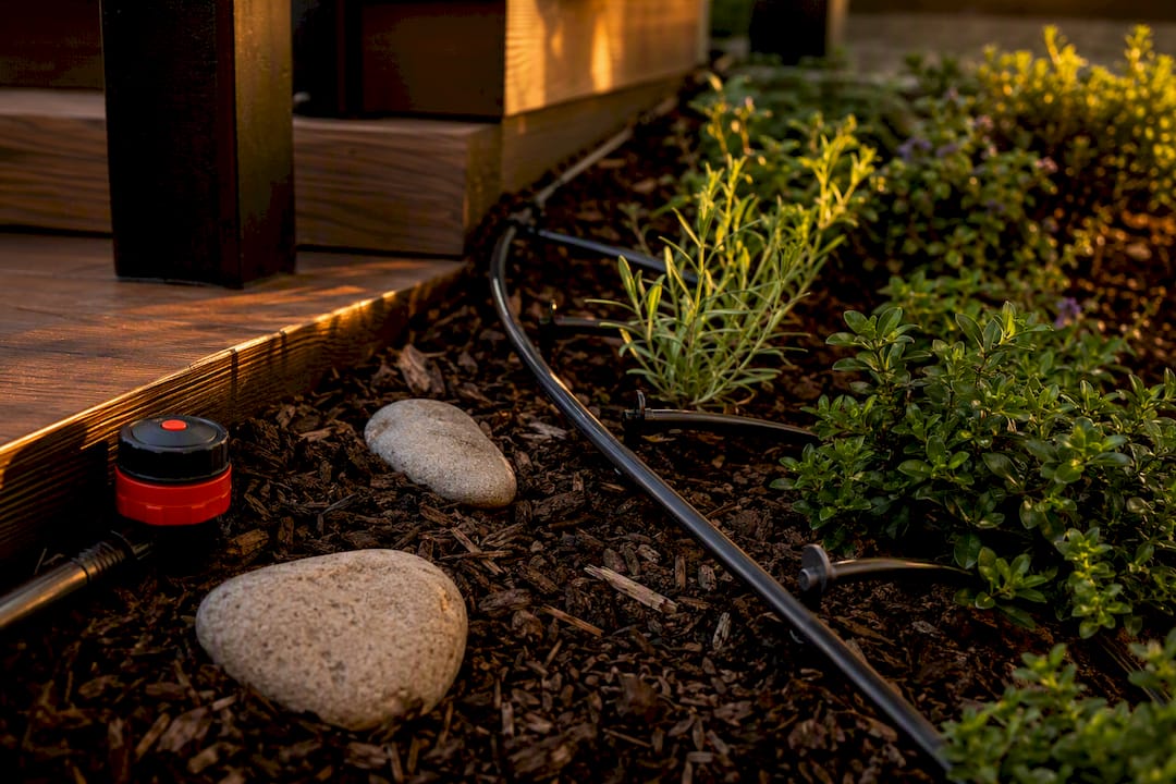 Drip emitters watering deck planting bed