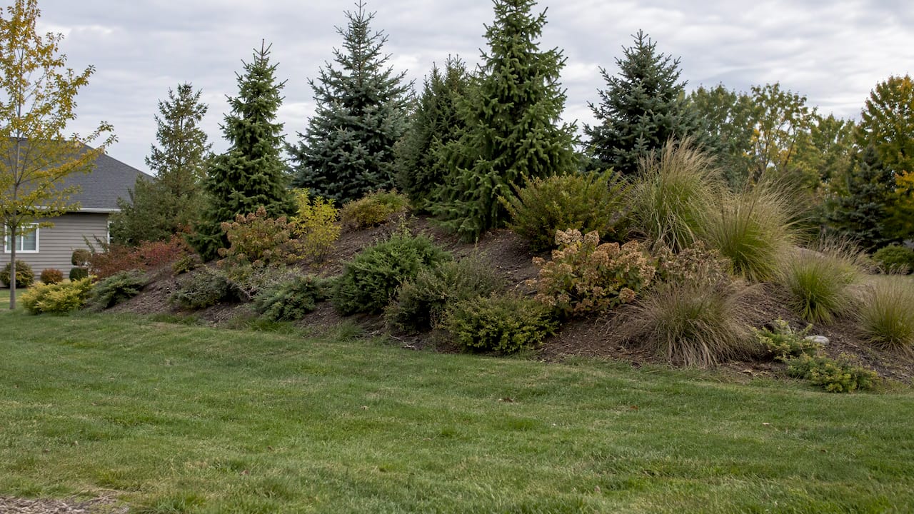 Gentle planted berm with layered screening plants